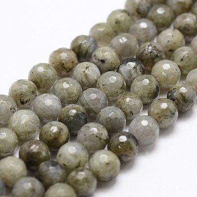 Natural Labradorite Beads Strands G-G736-04-8mm-1