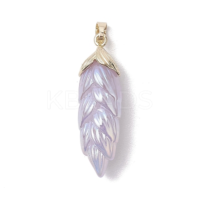 Rainbow Iridescent Plating Resin Pendants PALLOY-JF02716-1