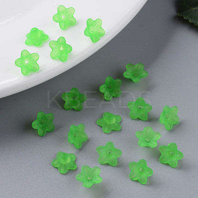 Transparent Acrylic Beads X-PL554-13-1