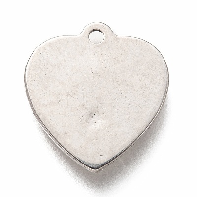 Non-Tarnish 304 Stainless Steel Pendants STAS-H126-29P-1