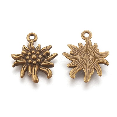 Tibetan Style Alloy Pendants LS-TIBEP-A113357-AB-FF-1