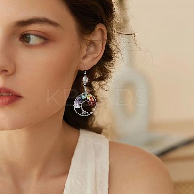 5Pcs 5 Styles Natural Amethyst & Rose Quartz & Aquamarine & Chakra Stone KK-HS0001-04-1