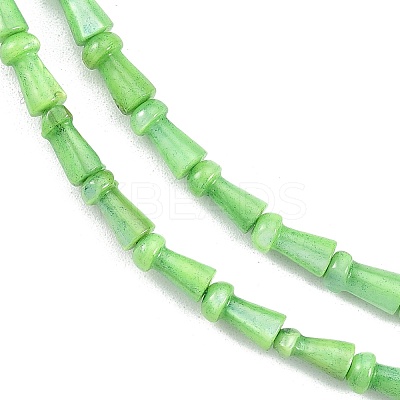 Natural Freshwater Shell Beads Strands SHEL-G013-02E-1