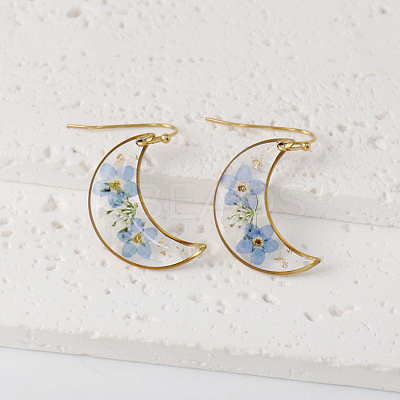 Moon 304 Stainless Steel Dangle Earrings WG43EF9-04-1