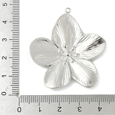 304 Stainless Steel Pendants LS-STAS-L293-09E-P-1