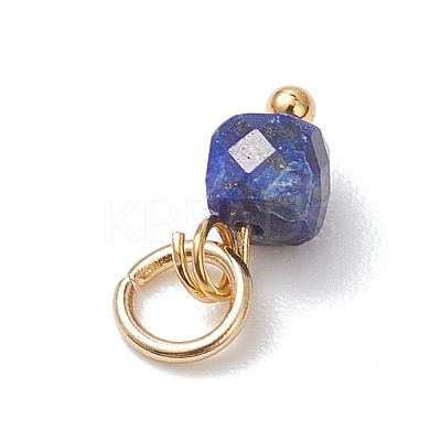 Faceted Cube Natural Mixed Gemstone Charms PALLOY-JF04879-1