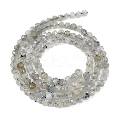 Natural Labradorite Beads Strands LS-G-I341-11A-1