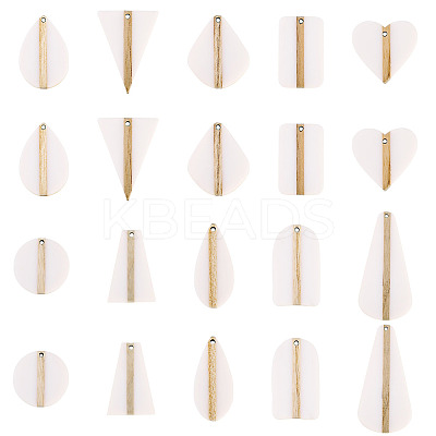 20Pcs 10 Styles Opaque Resin & Wood Pendants Sets RESI-TA0004-63B-1