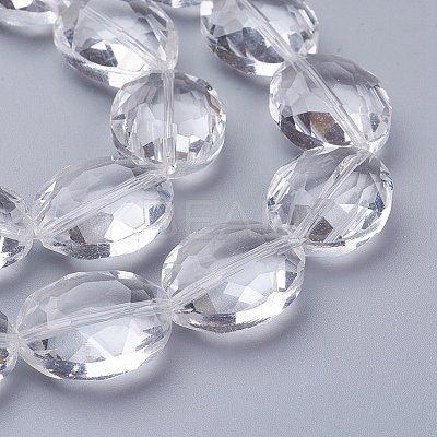 Glass Bead Strands X-GLAA-R196-20x16mm-01-1