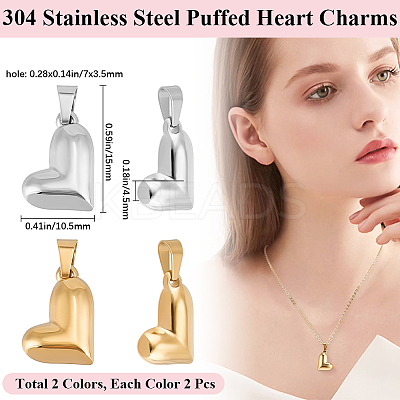 4Pcs 2 Colors Valentine's Day 304 Stainless Steel Charms STAS-BBC0006-12-1