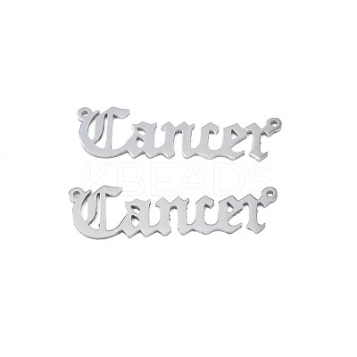 Non-Tarnish 304 Stainless Steel Connector Charms STAS-N095-136F-1