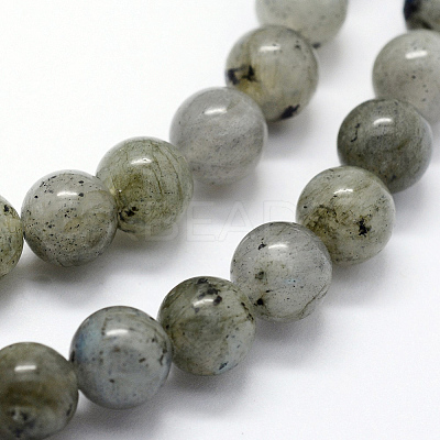 Natural Labradorite Beads Strands G-I199-15-8mm-1