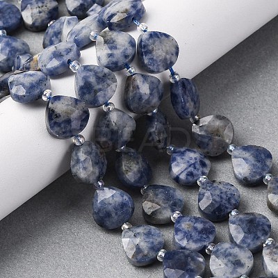 Natural Blue Spot Jasper Beads Strands G-P570-E19-02-1