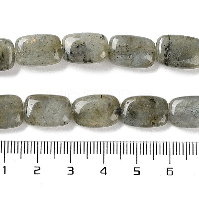 Natural Labradorite Beads Strands G-K357-D16-01-1