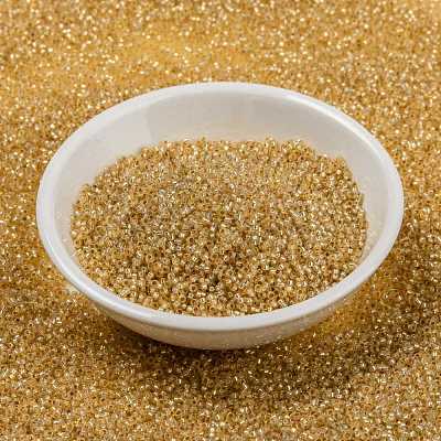 MIYUKI Round Rocailles Beads SEED-G009-RR0552-1