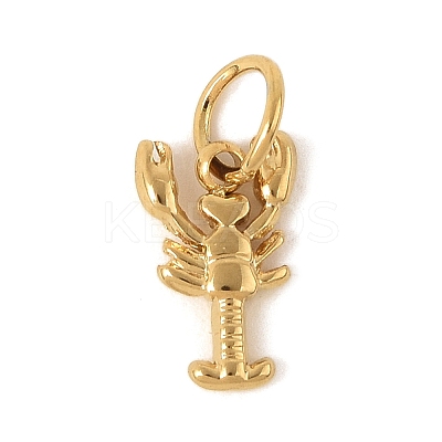 304 Stainless Steel Charms LS-STAS-V013-02A-G-1