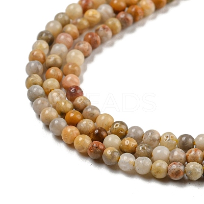 Natural Crazy Lace Agate Bead Strands X-G-A130-2mm-K10-1