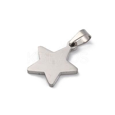 304 Stainless Steel Pendants STAS-Z114-03P-02-1