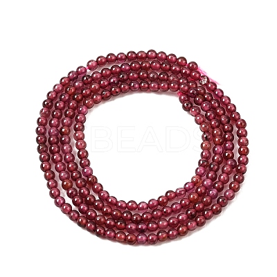 Natural Garnet Beads Strands G-N0213-04-2mm-1