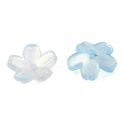 Acrylic Bead Caps OACR-I024-01C-1