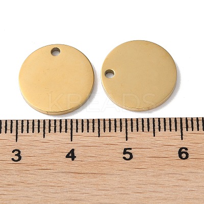 304 Stainless Steel Charms STAS-Q308-09I-G-1