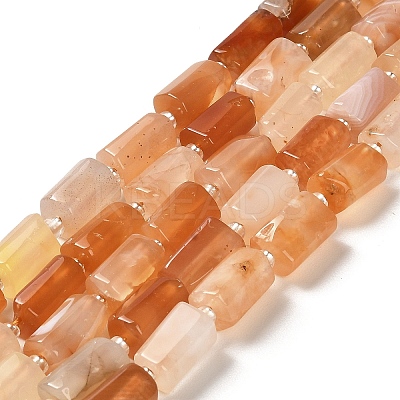 Natural Orange Botswana Agate Beads Strands G-N327-06-31-1