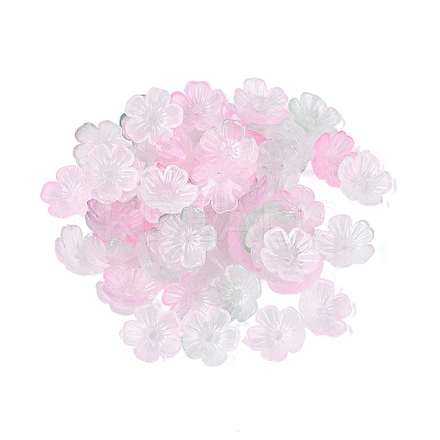 Transparent Plastic Bead Caps KY-Q005-02A-11-1