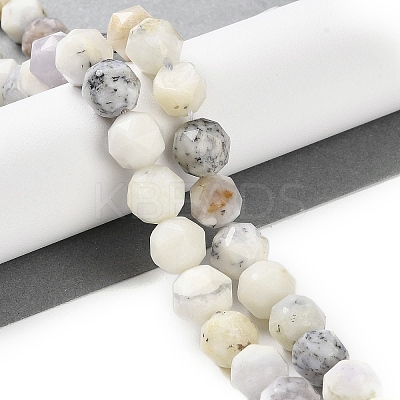 Natural White African Opal Beads Strands G-NH0021-A26-02-1