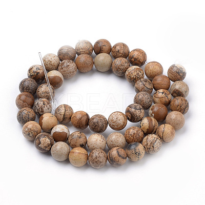 Natural Picture Jasper Beads Strands X-G-S259-27-8mm-1