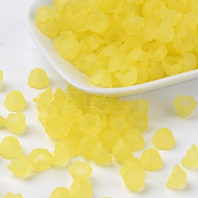 Transparent Acrylic Beads Caps LS-X-PL543-2-1