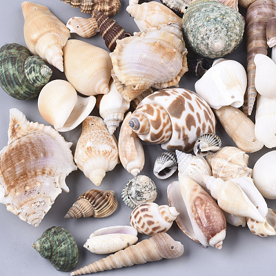 Natural Spiral Shell Pendants SSHEL-N035-02-1