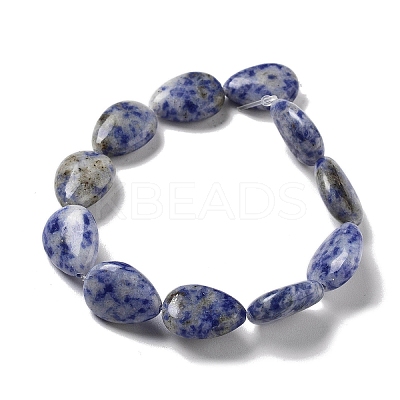 Natural Blue Spot Jasper Beads Strands G-P528-L17-01-1