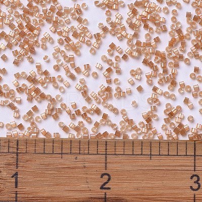 MIYUKI Delica Beads X-SEED-J020-DB1864-1