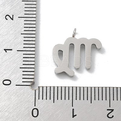 304 Stainless Steel Micro Pave Cubic Zirconia Charms STAS-Z107-09P-10-1