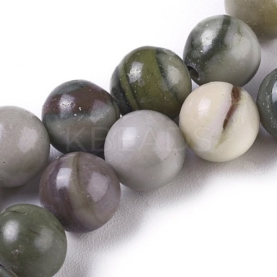 Natural Zebra Jasper Beads Strands G-E551-C-03-1
