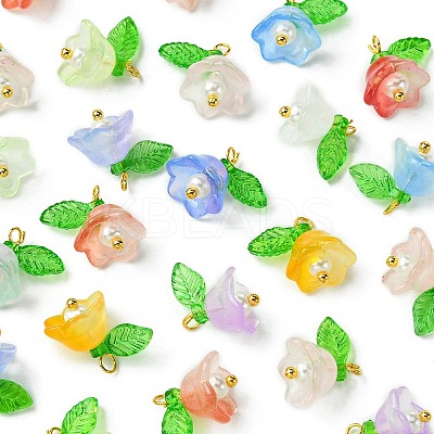 40Pcs Glass & Plastic Pendant PALLOY-FZ00012-1