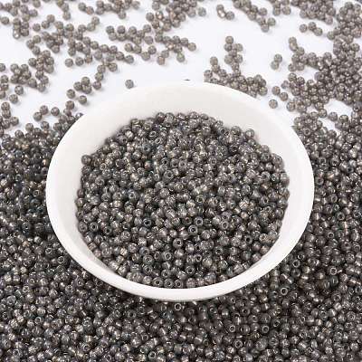 MIYUKI Round Rocailles Beads X-SEED-G008-RR0650-1