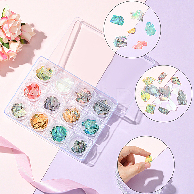 12 Colors Shell Chips Nail Art Decorations Accessories DIY-WH20002-669-1