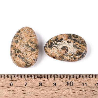 Natural Leopard Skin Jasper Pendants G-N349-08K-1