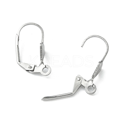 Tarnish Resistant 304 Stainless Steel Leverback Earring Findings X-STAS-E007-2-1