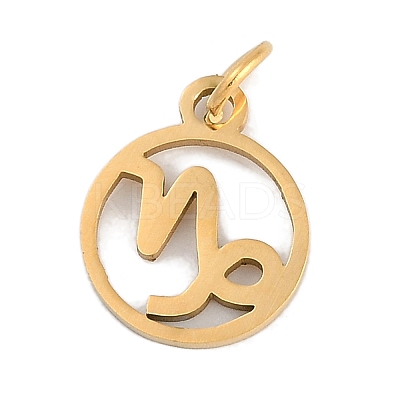 Ion Plating(IP) 304 Stainless Steel Charms STAS-R135-05G-07-1