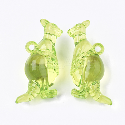 Transparent Acrylic Pendants TACR-S133-113-1