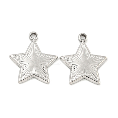 Non-Tarnish 304 Stainless Steel Pendants STAS-P365-09P-1