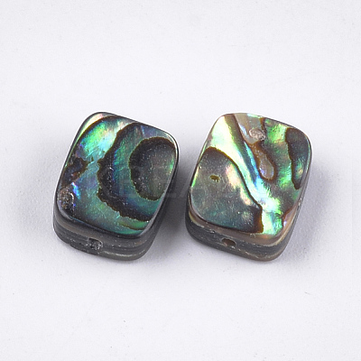 Abalone Shell/Paua Shell Beads SSHEL-T008-05-1