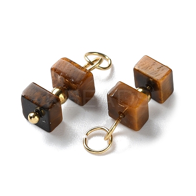 Natural Tiger Eye Cuboid Beaded Pendants STAS-C120-02G-05-1