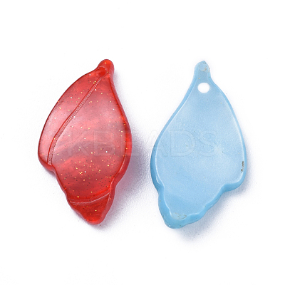 Cellulose Acetate(Resin) Pendants KY-S157-41-M-1