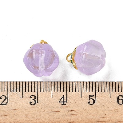 Glass Charms GLAA-P072-04G-05-1