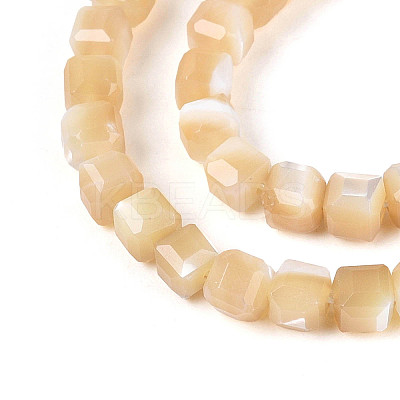 Natural Trochid Shell/Trochus Shell Beads Strands SSHEL-N041-04B-02-1