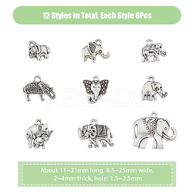 72Pcs 12 Styles Tibetan Style Zinc Alloy Pendants TIBEP-DC0001-29-1