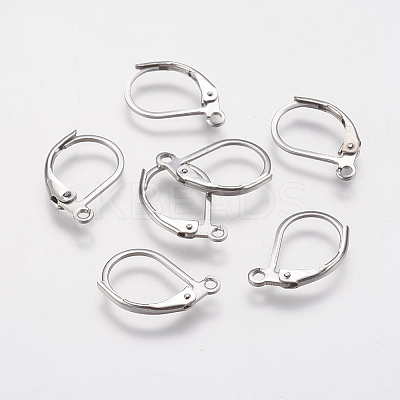 Tarnish Resistant 304 Stainless Steel Leverback Earring Findings LS-STAS-F141-03P-1